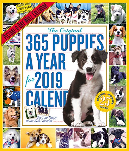 Preisvergleich Produktbild 2019 365 Puppies a Year Picture-A-Day Wall Calendar