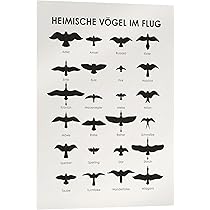 Synthesizer Club Poster 50x70 Cm - Musik Wandbild Von Florent Bodart