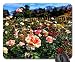Produktbild ROSE GARDEN HDR Mouse Pad, Mousepad (Flowers Mouse Pad)