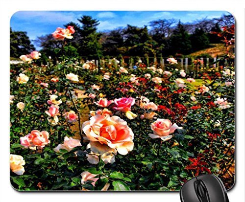 Preisvergleich Produktbild ROSE GARDEN HDR Mouse Pad, Mousepad (Flowers Mouse Pad)