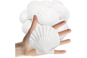 Lanwexy 25PCS Sea Shells Scallop Shells Natural White Sea Shells for DIY Craft Crafting,Painting,Baking,Home Decor and Beaching Wedding Decoration (6-8CM) Seashells Bulk