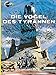 Valerian und Veronique, Bd.5, Die Vögel des Tyrannen (Valerian & Veronique, Band 5) by 