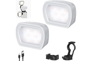 NEEWER Basics VideoLicht, magnetisches Selfie Light, 2er Pack, kompatibel mit DJI OSMO Pocket 3 Gimbal Camera Creator Combo, USB C aufladbares Mini LED Videoleuchte Aufsatz für Video Vlog, M21 Grau