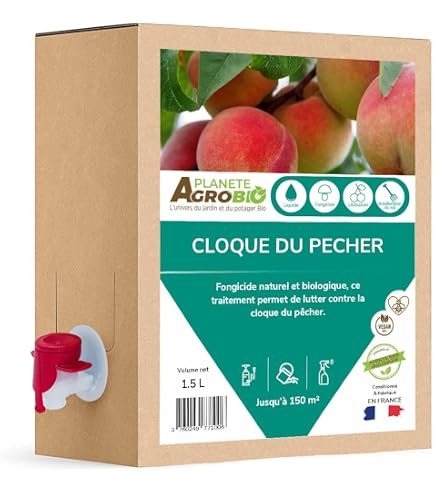 Pêche : des solutions contre la cloque | Réussir fruits & légumes Pêche : des solutions contre la cloque | Réussir fruits & légumes