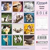 Image de Kittens - Kätzchen 2015 Mini Calendar