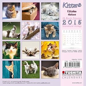 Kittens - Kätzchen 2015 Mini Calendar