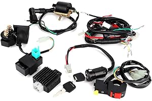 TBEST Faisceau Electrique Dirt,Cablag Pit Bike, Quad De Démarrage Électrique, Kit complet de faisceau de câbles moteur de démarrage pour moto tout-terrain 110 pièces modifiées