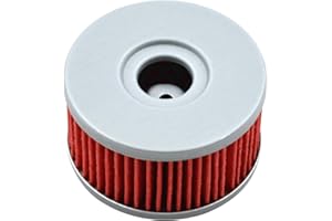 OuYi filtro de aceite de motocicleta Compatible con SUZUKI DRZ250 2001-2007 GN250 1982-2000 GZ250 MARAUDER 1999-2010/SP250 1982-1985 SG350 1991-1992 VL125LC INTRUDER 125 2000-2006