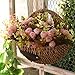 Produktbild XMJR Wall decoration idyllische Wand Stroh Blumenkorb Blumentöpfe Wände mit Blumen geschmückt sind, Blume getrocknete Blumen geflochtene Korb und Farben Blumen Körbe + kleine Inulin.