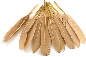 CREATIVERY 10 plumas indias de aprox. 10 – 15 cm (arena/beige/natural 835) // plumas decorativas, para manualidades, máscaras, plumas, plumas, plumas, plumas, plumas, plumas, plumas, plumas de pájaro.