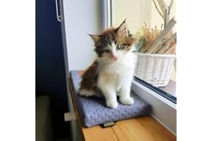 BORN2REST Prime Cat Window Lounger for Cats, Windowsill with a Non-Slip Backing, Cat Bed Window Sill, 50 cm x 20 cm, Made in European Union (Grey Quilted, 50 x 20 x 3 cm)