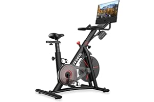 ‎YESOUL YESOUL G1M Plus Heimtrainer Ergometer, Leises Indoor Fitnessbike für Kardio Training mit Neuem 21,5" FHD-Bildschirm, Magnetischem Widerstand, 360°-Sound & Bildschirmspiegelung