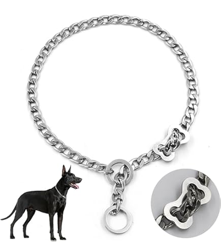 Collare A Catena Per Cani In Oro Collare A Strozzo In Metallo Collare A Strozzo