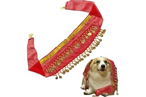 ZIBUYU Dog Skirt Belly Dancer Costume for Dogs, Glittering Hip Scarf with Silver Tassels and Coins, Fun Pet Outfit Dress for Party, Festival, Dance Show, Fancy Dog Clothing Accessory