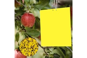 Yzwuyou 20 Pezzi Trappola per Mosche 20 * 10cm Trappole Appiccicose Impermeabile e Resistente al Calore Usato per Piretro, Coccinelle Vive e per Prevenire gli Afidi
