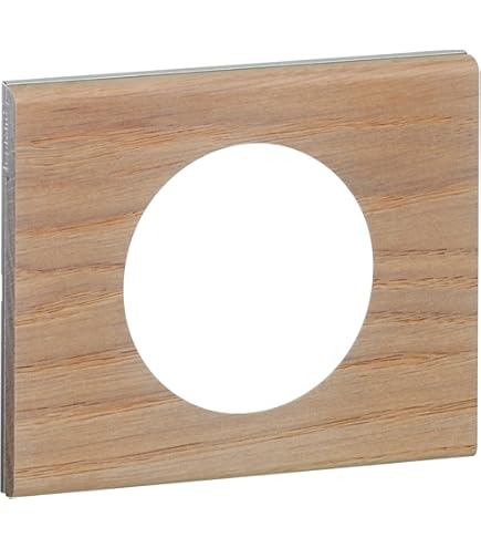 Plaque Legrand Celane 069011 En Corian Cannelé – 1 Poste, Couleur Blanc, Pour Montage En Surface