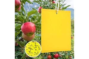 Panngu Gelbfalle Klebrige Insektenfallen, KirschmadenFalle Gelbtafeln, Professionell Gelbsticker Gelbe Klebrige Papiere für Weiße Fliegen,Blattläuse,Blatt Bergmann,Motten andere Insekten (50PCS)