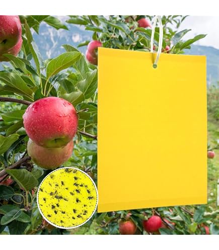 Aeroxon Strisce Adesive Cattura Insetti Per Piante - 12 Pezzi Da 40x25 Cm - 2