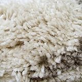 Für Kinder, 120 x 170 cm, Polypropylen, Öko-Tex 100 Prozent 254.00 cm Nomad „Shaggy Teppich, Beige - 5