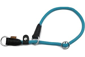 Aiminto Braided Round Martingale Dog Collar, Training Collar with Slidable Stop Ring and Adjustable Stopper - Ideal for Medium Dogs (M(1/3") - 18" Long, Light Blue)
