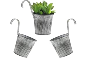Zasvec Macetas Colgantes de Metal 3 Piezas Macetero Pared con Gancho Pequeñas Retro Cubo de Flores Jardineras Exterior Macetero Colgante para Decoración de Balcón Jardín Patio 11.5cm