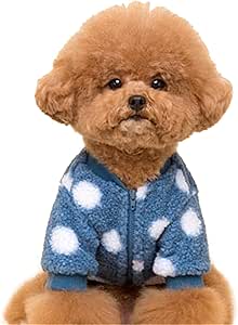 toy dog clothes