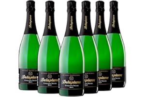 CODORNIU Delapierre Etiqueta Negra - Cava Brut - Caja 6 botellas 75cl