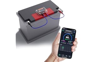 Batterivakt 12V Bluetooth 4.2 batteriskydd DC 6V–20V batterimonitor övervakning batteristatus i realtid med kortslutning och
