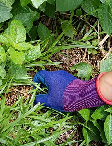 Zapo Werkzeuge Gartenarbeitshandschuhe zum Graben, Unkraut jäten und Setzlinge Einpflanzen mit Latex-Gummi für Frauen Medium 2 Paar - 3