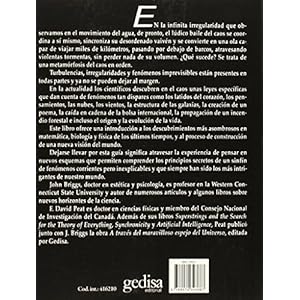 Espejo y reflejo: Del caos al orden. Guía ilustrada de la teoría del caos y de la ciencia de la totalidad (Extensión Científica)