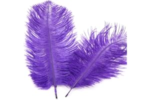 DUORIES 10 piume di struzzo naturali da 15 – 20 cm, per fai da te, per acchiappasogni fai da te, accessori per la casa, costumi, decorazione da tavolo, matrimoni, feste, cappelli, vestiti, decorazioni, viola