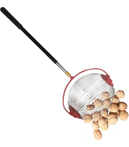 ZOYDP Raccoglitore Di Frutta A Rullo Con Asta Telescopica - Leggero E Pratico Per Castagne, Noci, Palline Da Golf