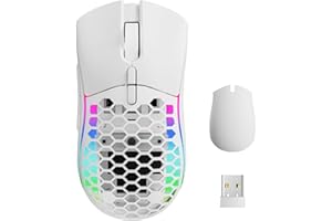 ELECGO RGB Mouse Senza Fili, Mouse Wireless, DPI Regolabile per Laptop/PC/Mac, Simmetrico su Entrambi i lati, Custodia Sostituibile, Bianco