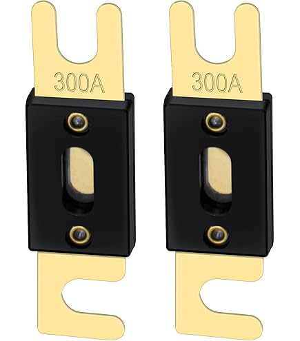 Heschen ANL-zekering ANL-300 300 Amp voor auto voertuigen audiosysteem blad goud toon & zwart 2 Pack