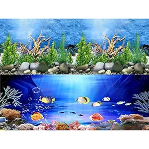 HITOP Double Sides Aquarium Background Picture,3 Different pcs with Total 6 Options for Fish Tank