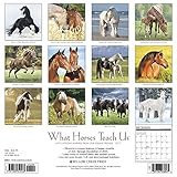 Image de What Horses Teach Us 2017 Calendar: Life's Lessons Learned from Our Equine Friends
