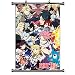 Produktbild Yovvin Fairy Tail Rollbild Kakemono aus Stoff Poster, Natsu Dragneel Lucy Heartfilia Erza Scarlet Gray Fullbuster Wendy Marvell Wanddekoration(M) (Style 01, S: 20 x 30 cm)