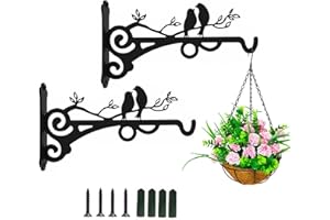 Zengjunwei 2 Pezzi Ganci Staffa Per Piante, Ganci Per Lanterna Appendere Alla Parete Pianta Giardino Appendiabiti Cesto Pensile Per Mangiatoie Uccelli Lanterne Decorazione Esterni (Due uccelli A)