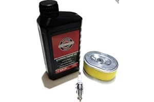 WADOY HONDA GX110 et GX120 Petit moteur Kit de service Huile, avec filtre à air et bougie d'allumage