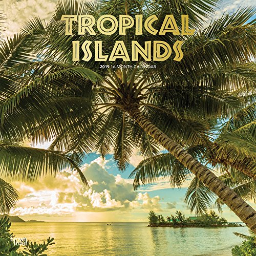 Download Tropical Islands 2019 Calendar