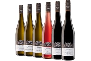 ‎DIVINO DIVINO Juventa Frankenwein Probierpaket - Silvaner, Grauer Burgunder, Scheurebe, Rotling, Merlot, Cuvée - Qualitätsweine direkt aus den Weinbergen Frankens (6 x 0,75l)