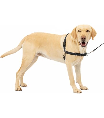 Spark Paws Anti-trek hondenharnas voor grote honden, zwaar belastbaar hondenharnas voor grote sterke rassen, verstelbaar, Y-vormig gewatteerd halterontwerp met frontclip - zwart - S