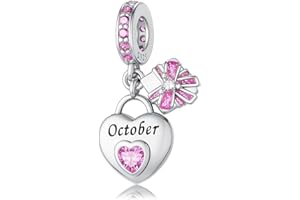 HappyStar 925 Sterling Silver Heart Zirconia Birthstone Charms for Bracelets Bead Charm Dangle Loving Pendant Compatible Pandora Bracelets Happy Birthday Gift for Women