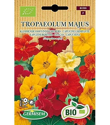Bingenheimer Saatgut - Kapuzinerkresse - Blumen Saatgut / Samen :  Amazon.de: Garten