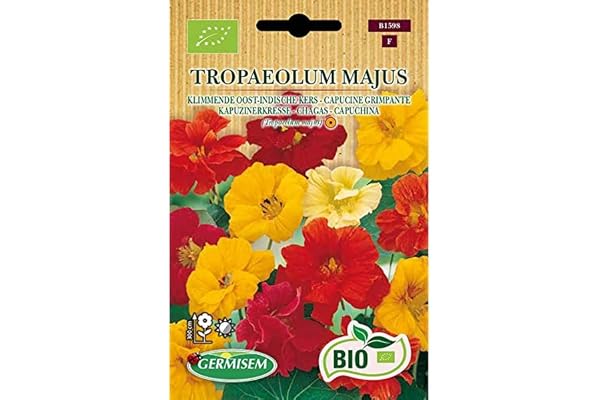 Capucine grimpante Tropaeolum majus