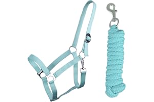 QHP b.v. Halfter-Set Beginner Halfter + Führstrick Heavy Karabinerhaken (Minishetty, Ice Green)