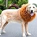 Produktbild Running Pet Haustier Katzen Hundekostüm Löwenmähne Löwe Mähne Perücke für Hunde Hundeausstellung Fest Fasching Dog Show Kostüm