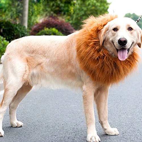 Preisvergleich Produktbild Running Pet Haustier Katzen Hundekostüm Löwenmähne Löwe Mähne Perücke für Hunde Hundeausstellung Fest Fasching Dog Show Kostüm