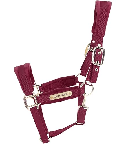 Kentucky Horsewear Samt Halfter Altrosa Full - Velvet Halfter Für Pferde Mit Personalisierbarer Platte