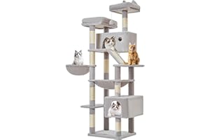 Taoqimiao Arbre a Chat Maine Coon,180cm Stable Arbres à Chat XXL avec 2 Condos Spacieux pour Chats, 8 Griffers, 2 Plateformes, Panier pour Matou, Confortable Hamac, Gris Clair MS026LW